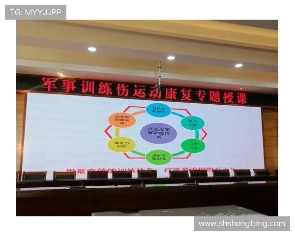 北京排球队耐力提升之路与训练策略深入分析